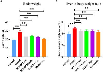 Effects of Shenling Baizhu powder on intestinal microflora metabolites and liver mitochondrial energy metabolism in nonalcoholic fatty liver mice